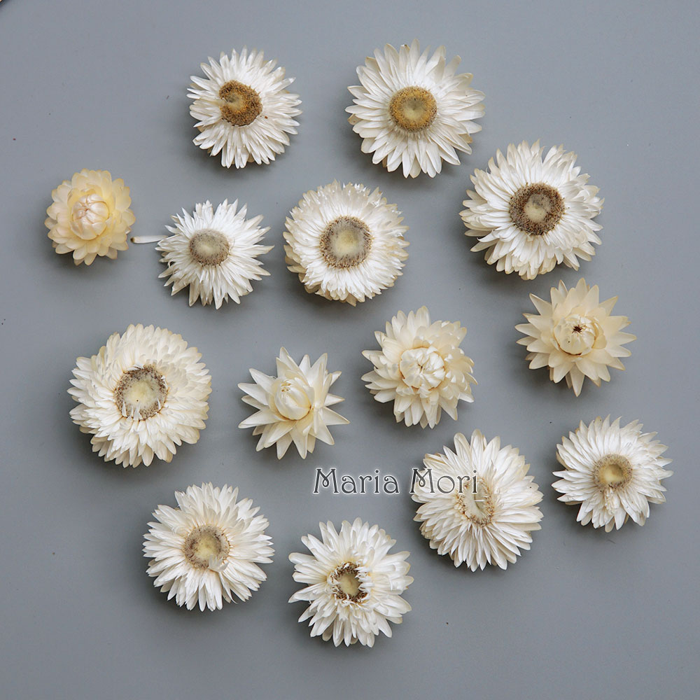 Candle Making At Home - 天然のドライでカラフルな菊の花輪,手作りのヘアアクセサリー,樹脂製品,アロマテラピーキャンドル
