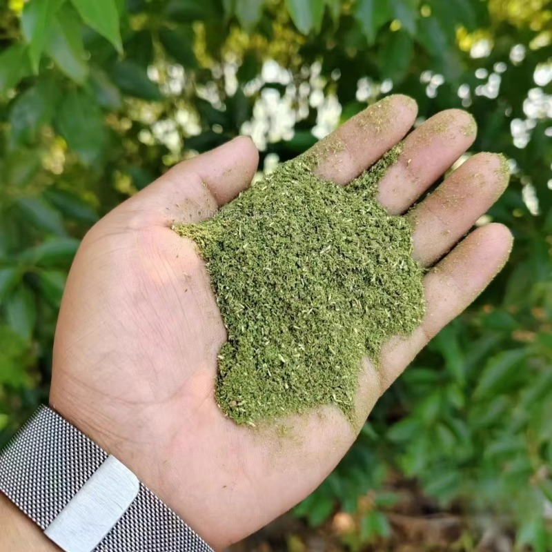 500g/袋 チベット産純天然粗/細サイプレス粉末 家庭用室 - Candle Making Los Angeles のレビューと価格